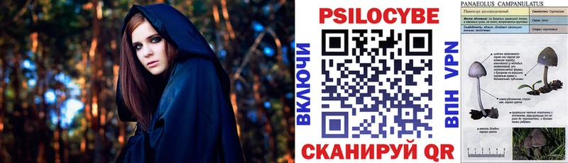 Купить  Рузаевка  Псилоцибиновые грибы Psilocybe 